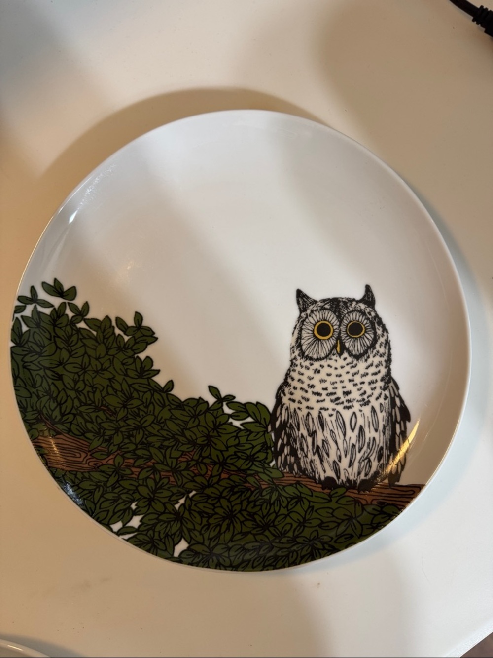 West Elm Whimsical Owl 🦉 White Ceramic Plate